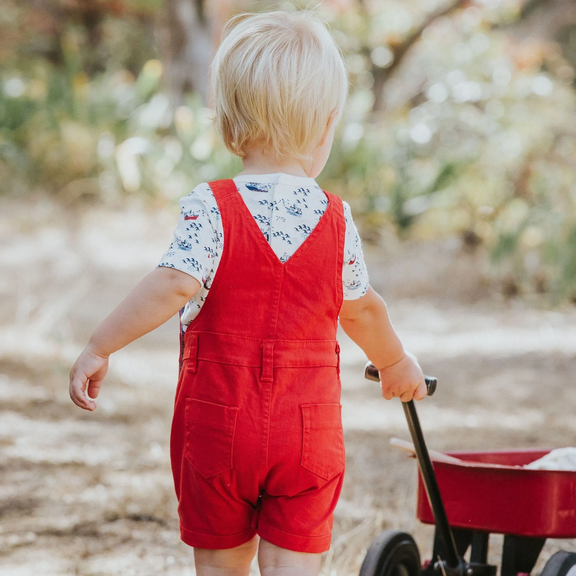 Archer Overalls